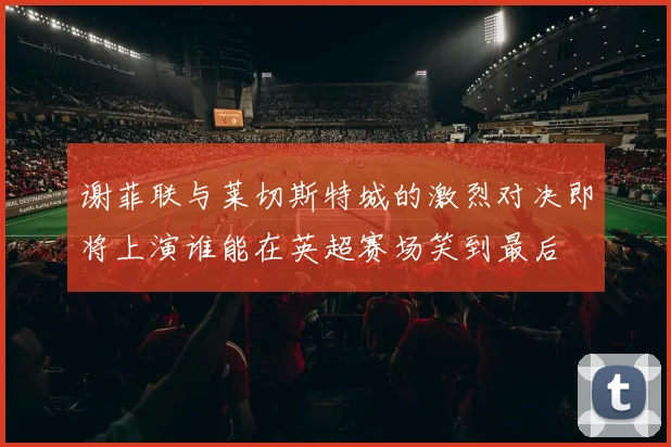 谢菲联与莱切斯特城的激烈对决即将上演谁能在英超赛场笑到最后