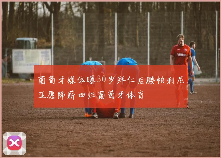 葡萄牙媒体曝30岁拜仁后腰帕利尼亚愿降薪回归葡萄牙体育